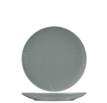 Load image into Gallery viewer, Rain Grey Coupe Plates (Pack Sizes)