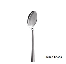 Load image into Gallery viewer, Salvinelli Exalt Ice Finished 18 10 Stainless Steel  - Packs of 12
