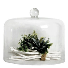 Load image into Gallery viewer, Iris Domes - Kings Pride Procurement
