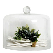 Load image into Gallery viewer, Iris Domes - Kings Pride Procurement
