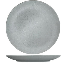 Load image into Gallery viewer, Rain Grey Coupe Plates (Pack Sizes)
