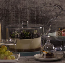 Load image into Gallery viewer, NEW Polycarbonate Straight Sided Cloche 28.5×21.4cm Pack of 1
